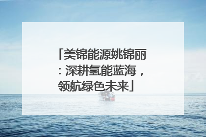 美锦能源姚锦丽：深耕氢能蓝海，领航绿色未来
