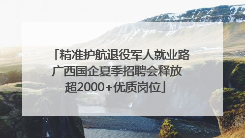 精准护航退役军人就业路 广西国企夏季招聘会释放超2000+优质岗位