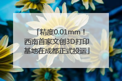 精度0.01mm！西南首家文创3D打印基地在成都正式投运