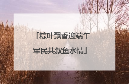 粽叶飘香迎端午 军民共叙鱼水情