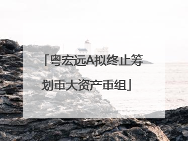 粤宏远A拟终止筹划重大资产重组