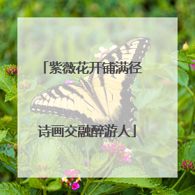 紫薇花开铺满径 诗画交融醉游人