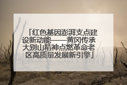 红色基因澎湃支点建设新动能——黄冈传承大别山精神点燃革命老区高质量发展新引擎