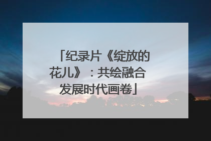 纪录片《绽放的花儿》：共绘融合发展时代画卷