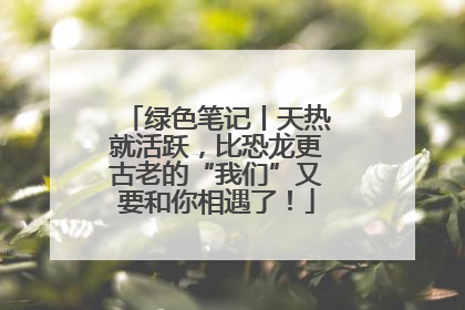 绿色笔记丨天热就活跃，比恐龙更古老的“我们”又要和你相遇了！