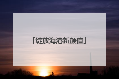绽放海港新颜值