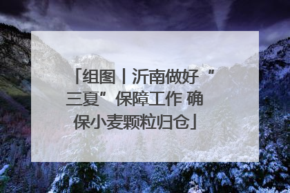 组图丨沂南做好“三夏”保障工作 确保小麦颗粒归仓