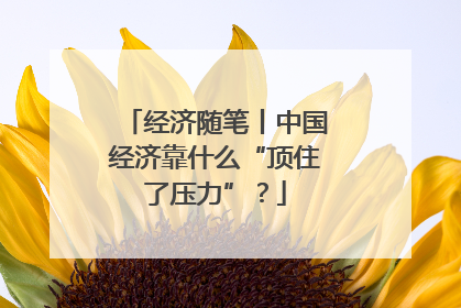 经济随笔丨中国经济靠什么“顶住了压力”？