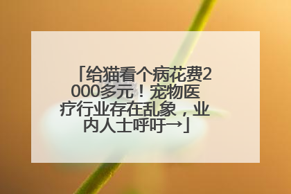 给猫看个病花费2000多元！宠物医疗行业存在乱象，业内人士呼吁→