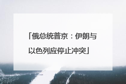 俄总统普京：伊朗与以色列应停止冲突