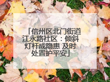 信州区北门街道江永路社区：倾斜灯杆成隐患 及时处置护平安
