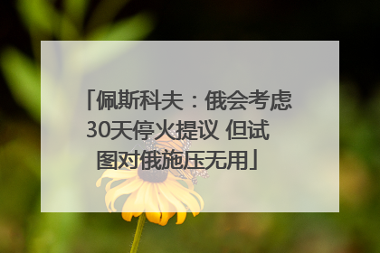 佩斯科夫：俄会考虑30天停火提议 但试图对俄施压无用