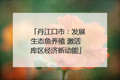 丹江口市：发展生态鱼养殖 激活库区经济新动能