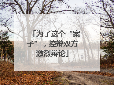 为了这个“案子”，控辩双方激烈辩论