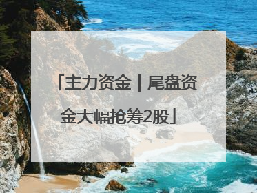 主力资金｜尾盘资金大幅抢筹2股
