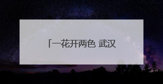 一花开两色 武汉双色睡莲绽放引客