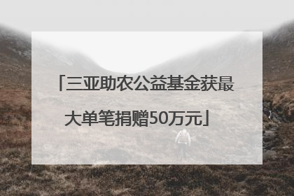 三亚助农公益基金获最大单笔捐赠50万元