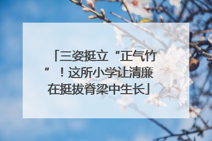 三姿挺立“正气竹”！这所小学让清廉在挺拔脊梁中生长