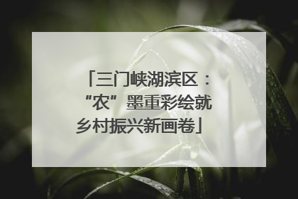 三门峡湖滨区：“农”墨重彩绘就乡村振兴新画卷