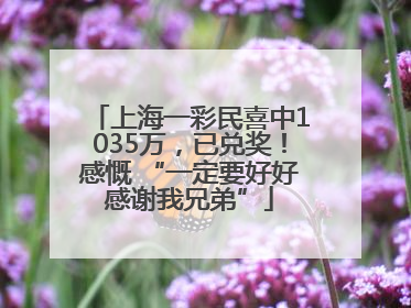 上海一彩民喜中1035万，已兑奖！感慨 “一定要好好感谢我兄弟”