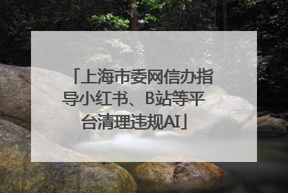 上海市委网信办指导小红书、B站等平台清理违规AI