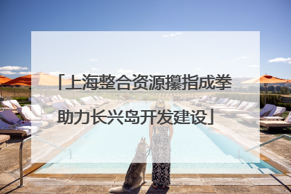 上海整合资源攥指成拳助力长兴岛开发建设