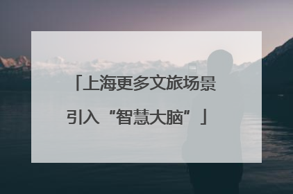上海更多文旅场景引入“智慧大脑”