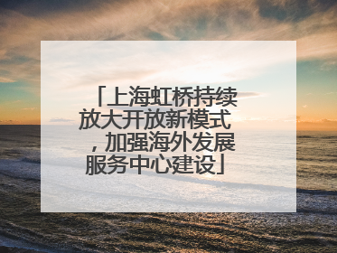 上海虹桥持续放大开放新模式，加强海外发展服务中心建设