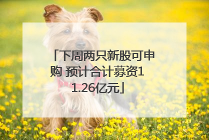 下周两只新股可申购 预计合计募资11.26亿元