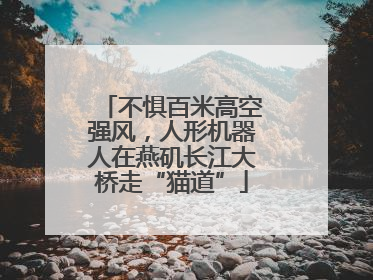 不惧百米高空强风，人形机器人在燕矶长江大桥走“猫道”