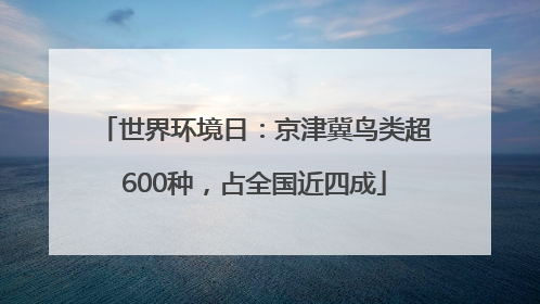 世界环境日：京津冀鸟类超600种，占全国近四成