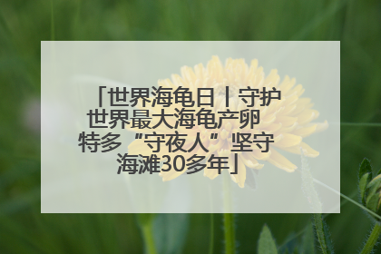 世界海龟日丨守护世界最大海龟产卵 特多“守夜人”坚守海滩30多年