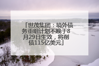 世茂集团：境外债务重组计划不晚于8月29日生效，将削债115亿美元
