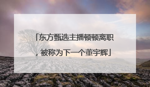 东方甄选主播顿顿离职，被称为下一个董宇辉