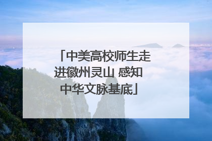中美高校师生走进徽州灵山 感知中华文脉基底