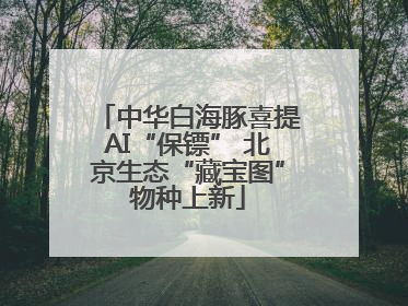 中华白海豚喜提AI“保镖” 北京生态“藏宝图”物种上新