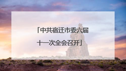 中共宿迁市委六届十一次全会召开
