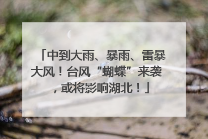 中到大雨、暴雨、雷暴大风！台风“蝴蝶”来袭，或将影响湖北！