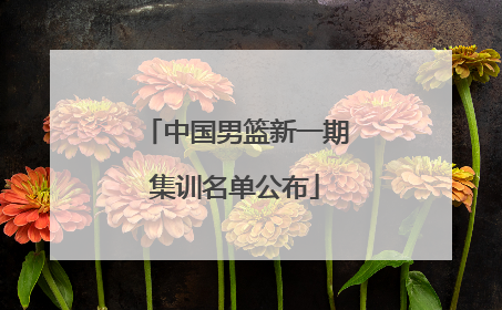 中国男篮新一期集训名单公布