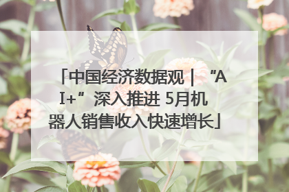 中国经济数据观｜“AI+”深入推进 5月机器人销售收入快速增长