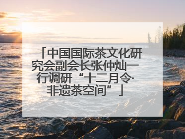中国国际茶文化研究会副会长张仲灿一行调研“十二月令·非遗茶空间”
