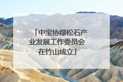 中宝协绿松石产业发展工作委员会在竹山成立