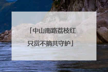 中山南路荔枝红 只赏不摘共守护