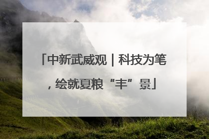中新武威观｜科技为笔，绘就夏粮“丰”景
