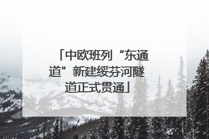 中欧班列“东通道”新建绥芬河隧道正式贯通