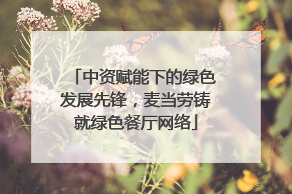 中资赋能下的绿色发展先锋，麦当劳铸就绿色餐厅网络