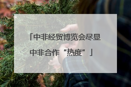 中非经贸博览会尽显中非合作“热度”