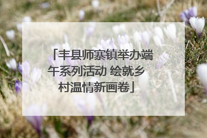 丰县师寨镇举办端午系列活动 绘就乡村温情新画卷