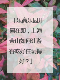 乐高乐园开园在即，上海金山如何让游客吃好住玩得好？