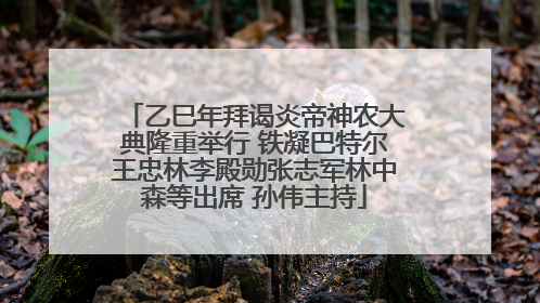 乙巳年拜谒炎帝神农大典隆重举行 铁凝巴特尔王忠林李殿勋张志军林中森等出席 孙伟主持